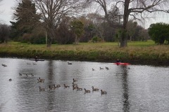 DSC05030